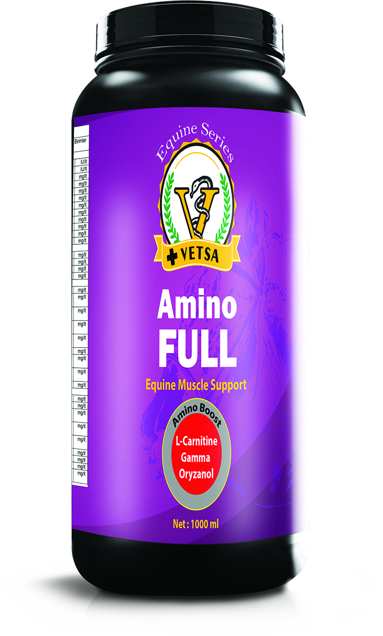 VETSA AMINOFULL 1 LT