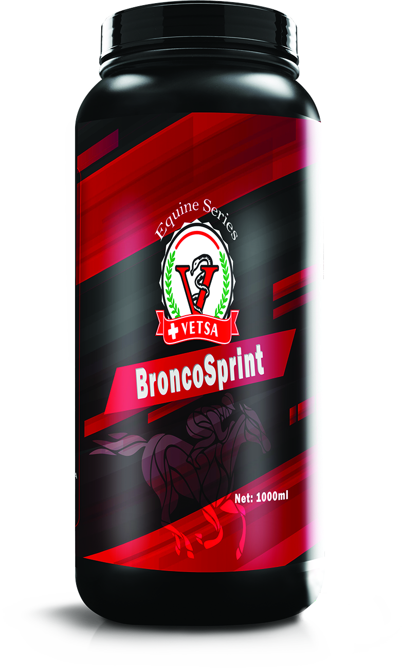 BRONCOSPRINT 1 LT 