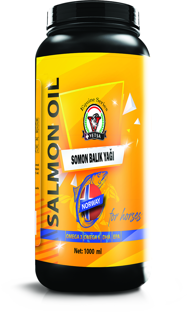 %100 Somon Balık Yağı OMEGA 3 + OMEGA 6 + DHA + EPA