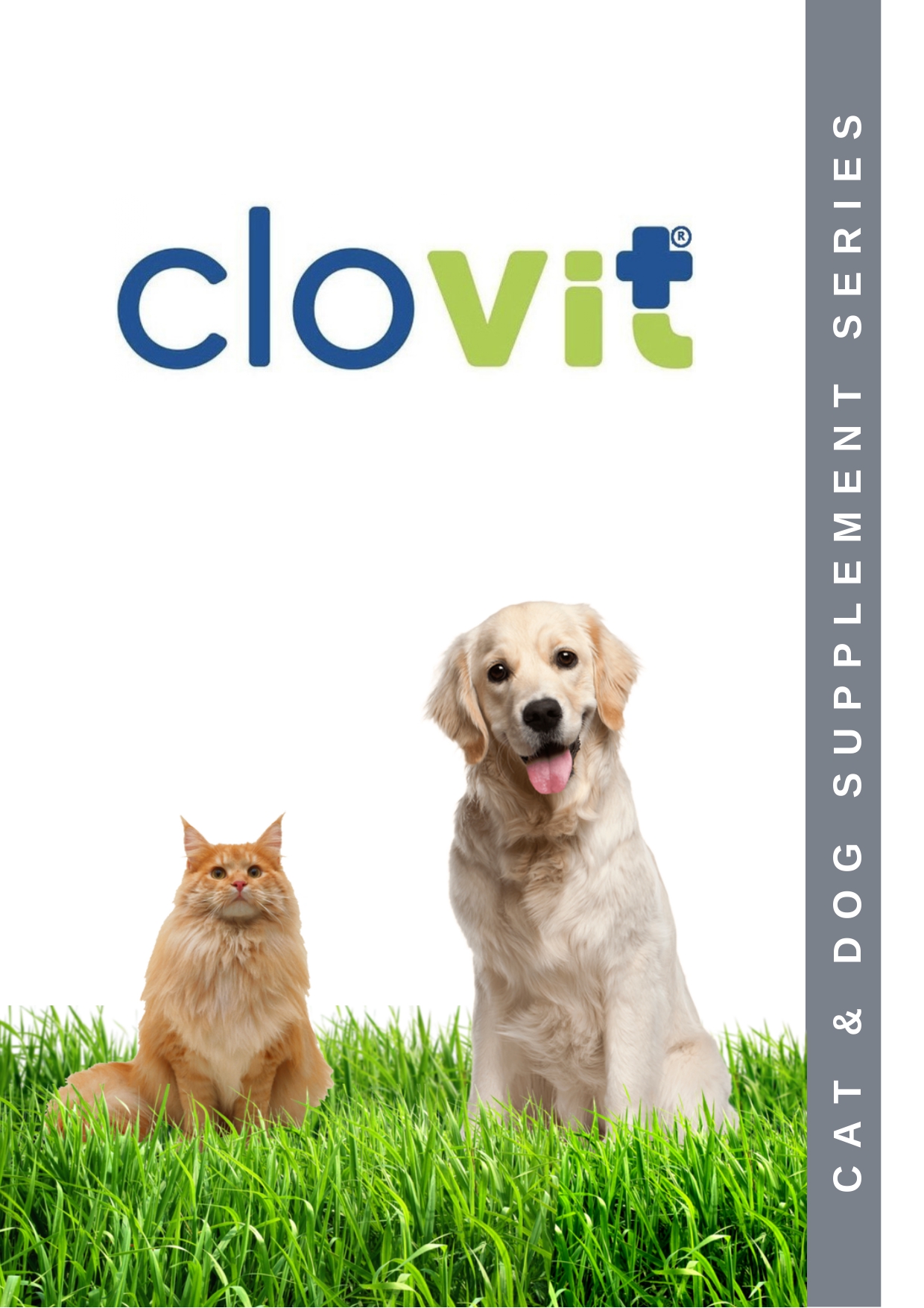 CLOVİT KATALOG