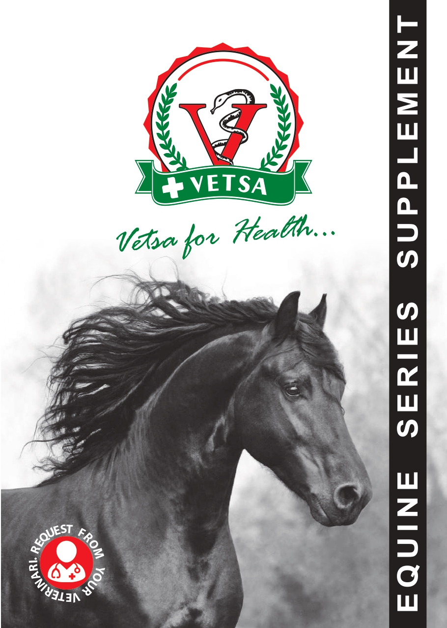ENGLISH CATALOG OF VETSA HORSE
