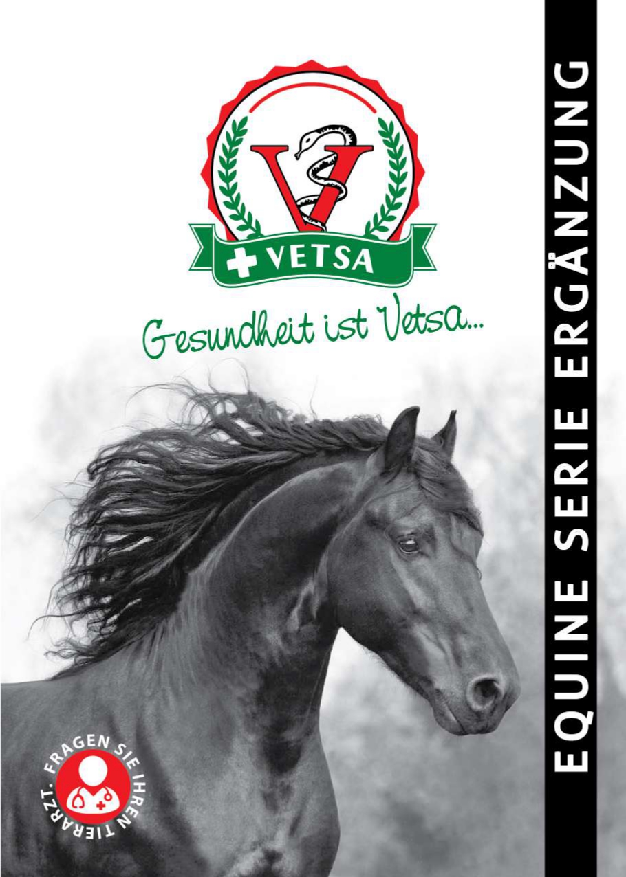 DEUTSCHER CATALOG OF VETSA HORSE